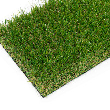 GSB gras